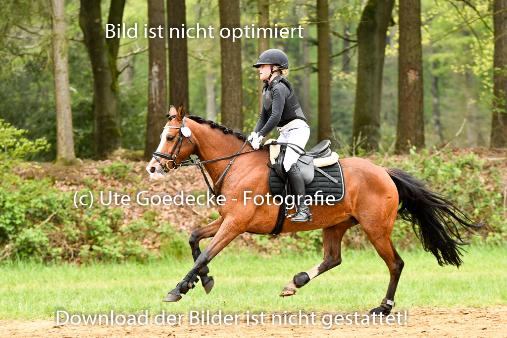 Quali für Goldene Schärpe Ponys in Berge   6+7.5.23 | Anna Kotschofsky - Quatmans Girl_49 