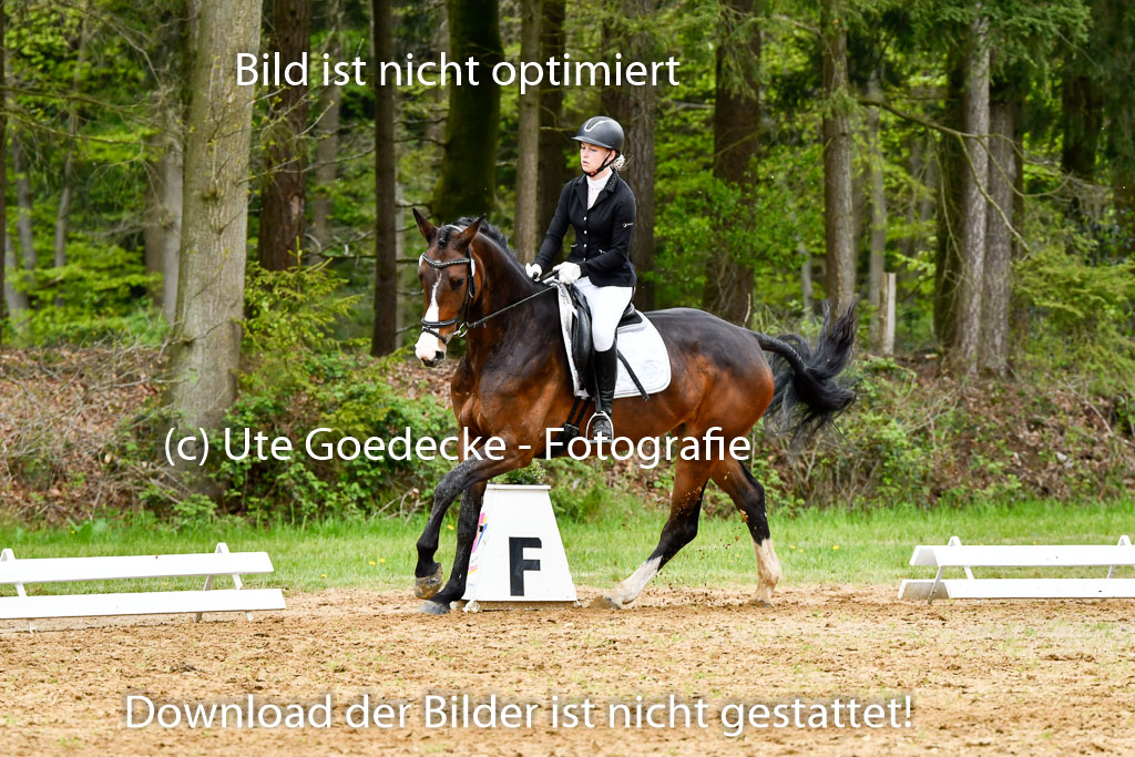 Quali für Goldene Schärpe Ponys in Berge   6+7.5.23 | Charlotte Boekhoff - Cheekys Cute Girl_07 