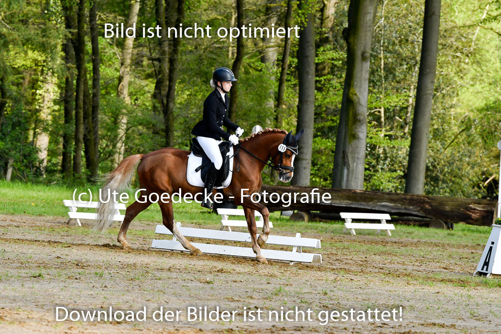 Quali für Goldene Schärpe Ponys in Berge   6+7.5.23 | Charlotte Boekhoff - Milano_05 