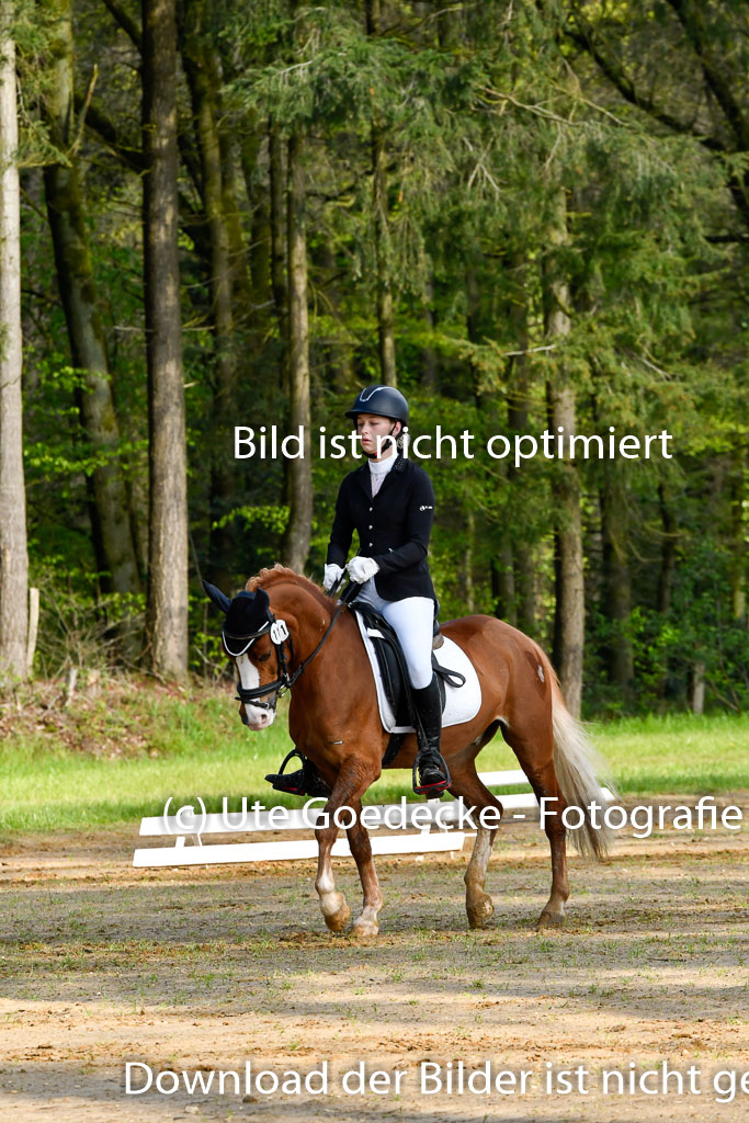 Quali für Goldene Schärpe Ponys in Berge 6+7.5.23 | Charlotte Boekhoff - Milano_07