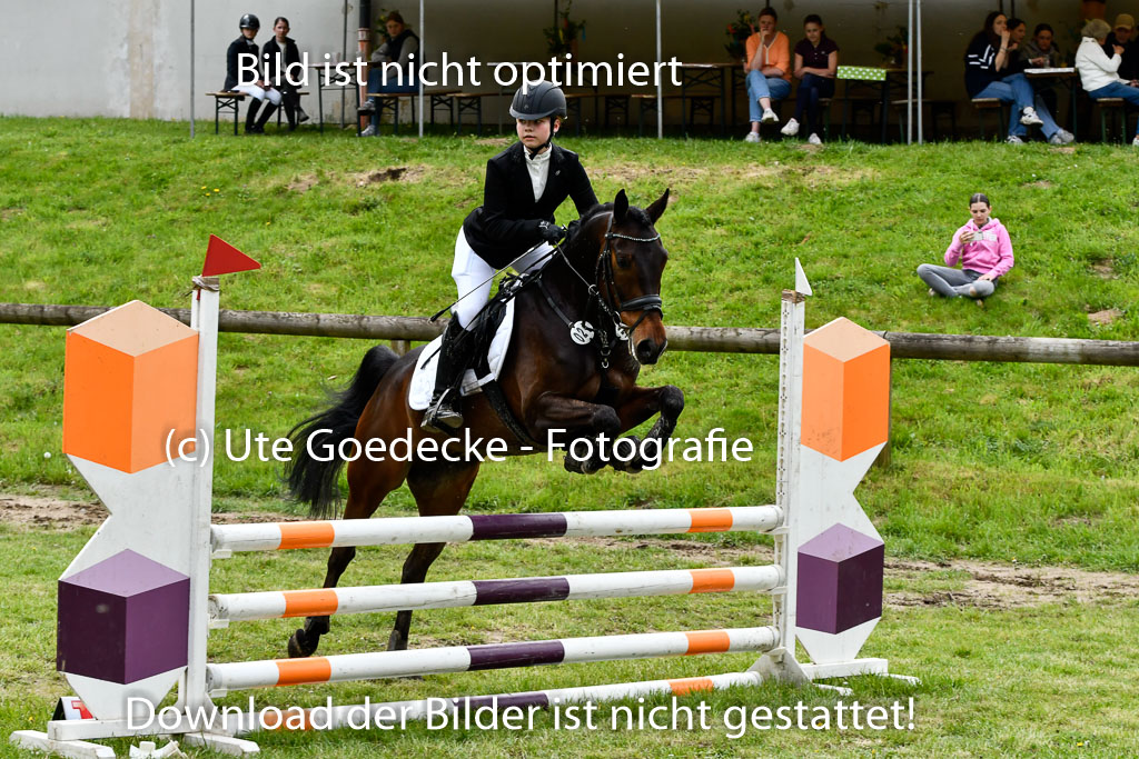 Quali für Goldene Schärpe Ponys in Berge   6+7.5.23 | Emma Triphaus - Calle Cool_42 