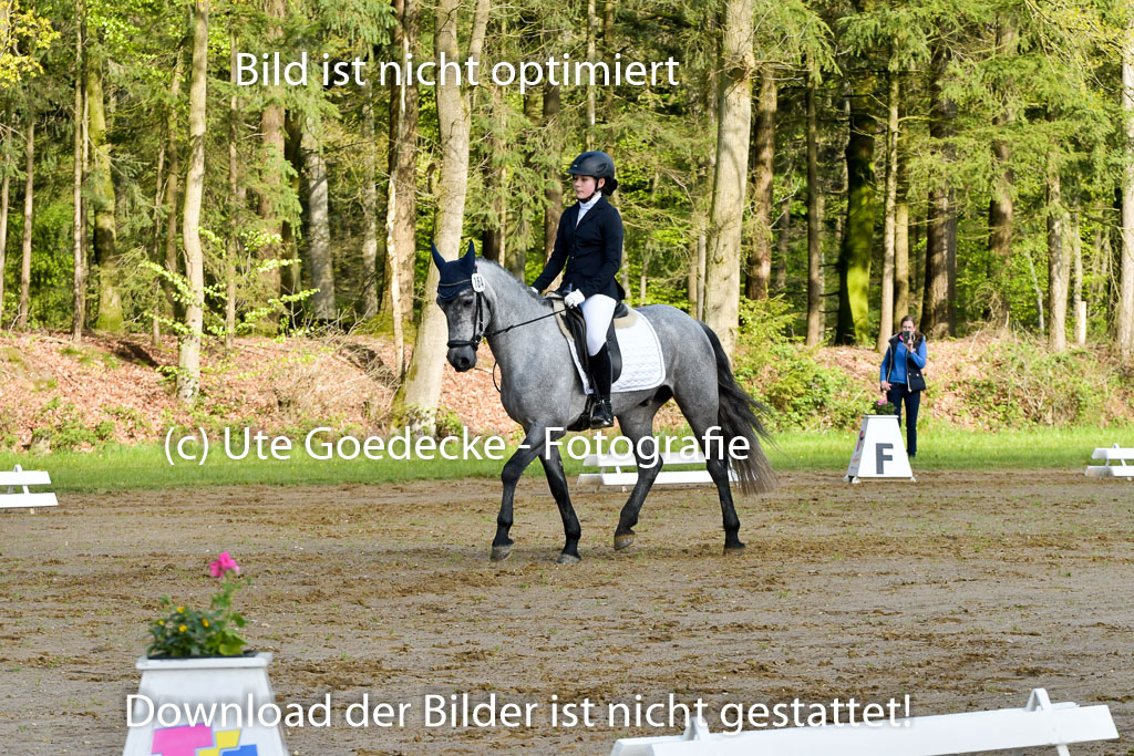 Quali für Goldene Schärpe Ponys in Berge 6+7.5.23 | Eva Kotschofsky - Ranger_01