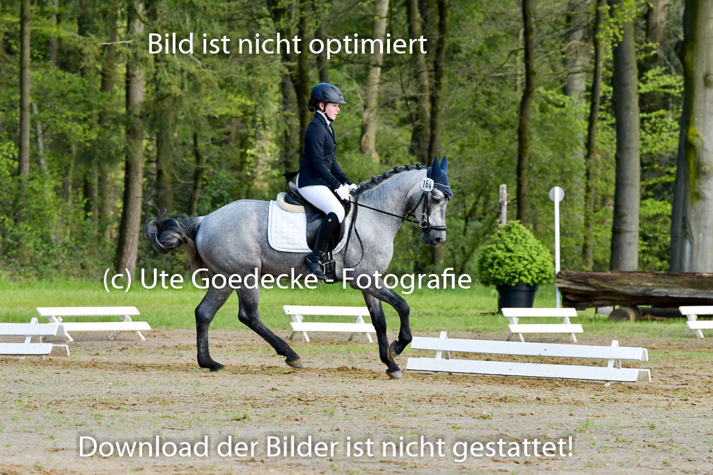 Quali für Goldene Schärpe Ponys in Berge 6+7.5.23 | Eva Kotschofsky - Ranger_07