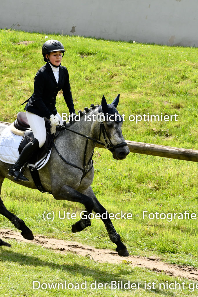 Quali für Goldene Schärpe Ponys in Berge 6+7.5.23 | Eva Kotschofsky - Ranger_25