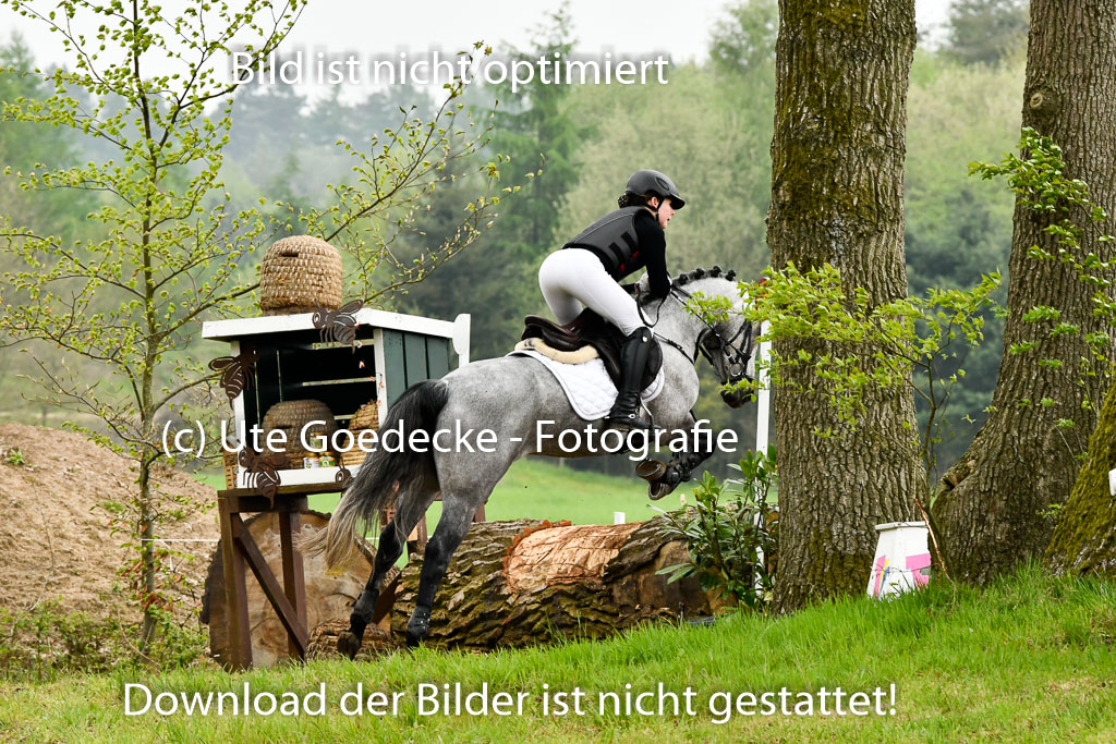 Quali für Goldene Schärpe Ponys in Berge   6+7.5.23 | Eva Kotschofsky  - Ranger_32 