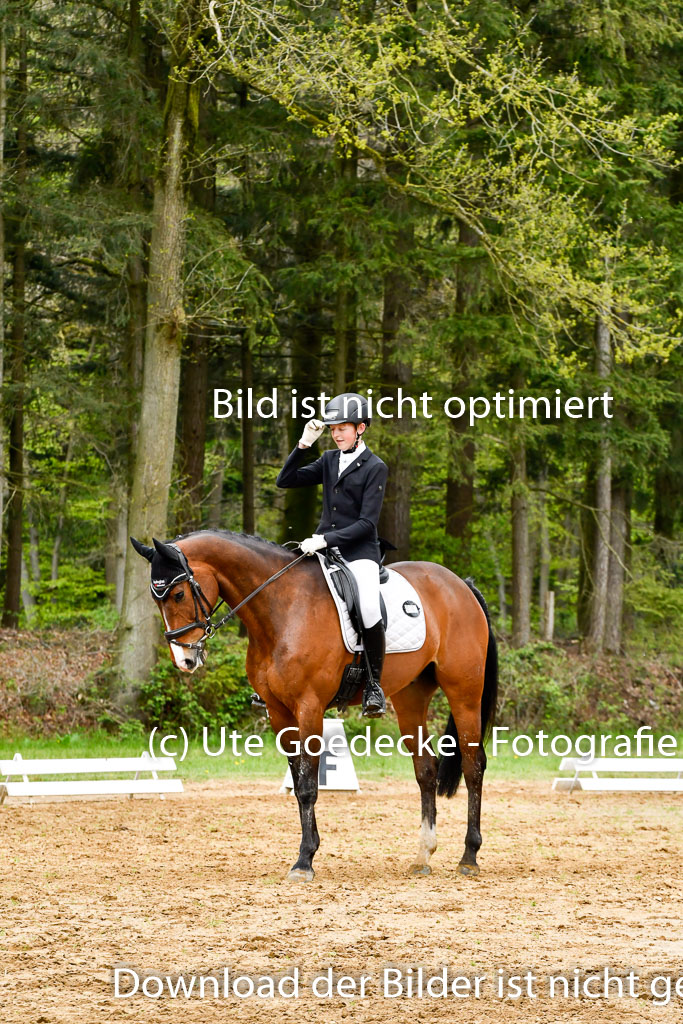 Quali für Goldene Schärpe Ponys in Berge   6+7.5.23 | Felix Triskatis - Captain Chaos_33 
