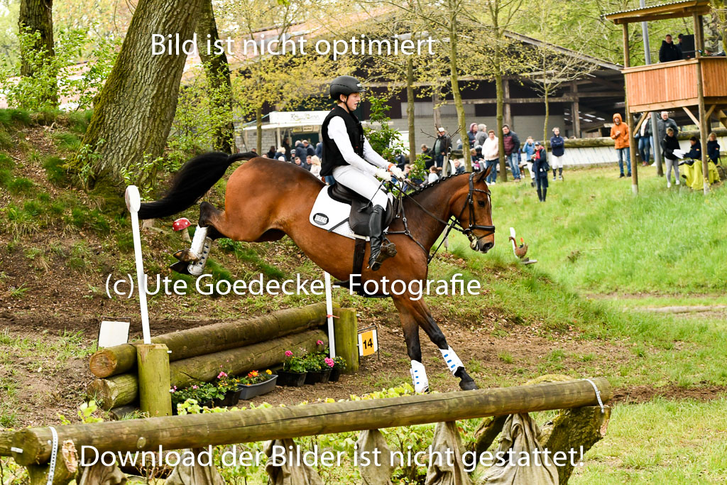Quali für Goldene Schärpe Ponys in Berge   6+7.5.23 | Felix Triskatis - Captain Chaos_64 