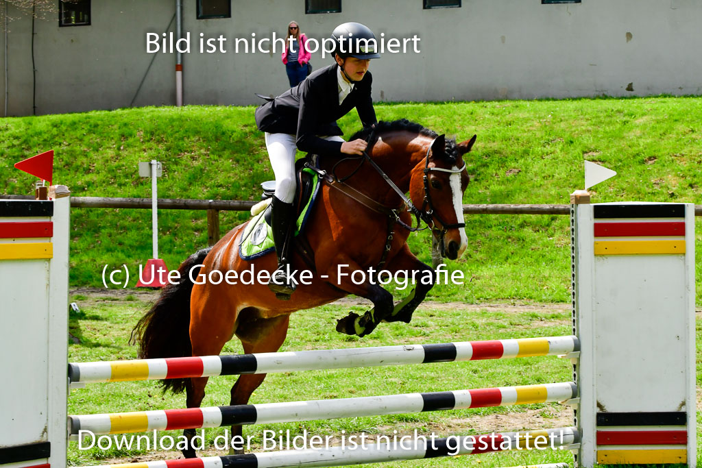 Quali für Goldene Schärpe Ponys in Berge   6+7.5.23 | Felix Triskatis mit Quedence_01 