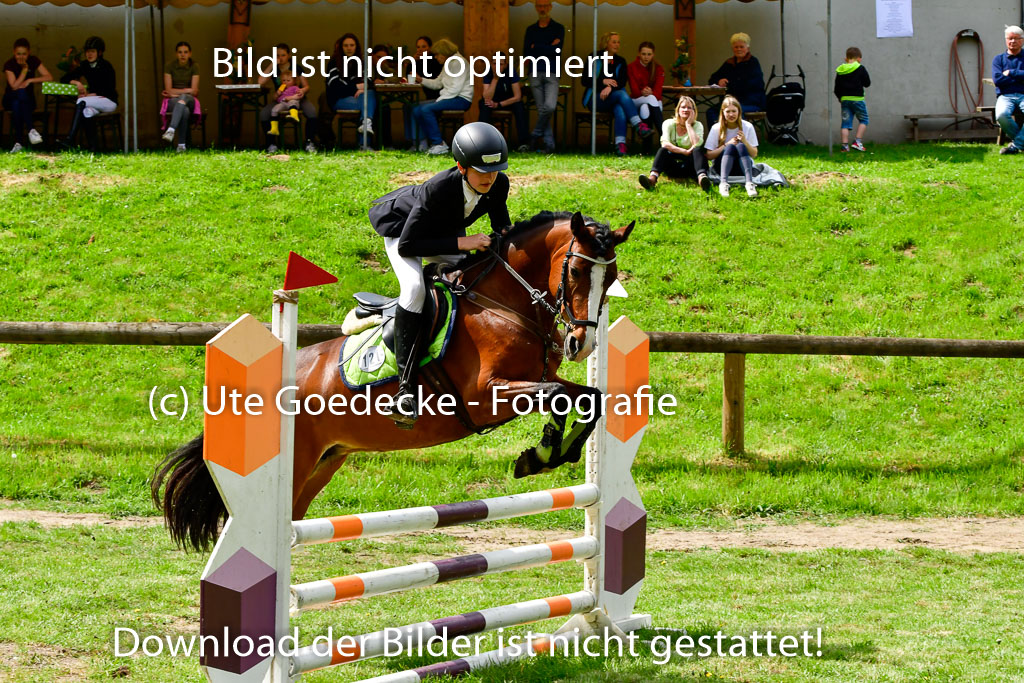 Quali für Goldene Schärpe Ponys in Berge   6+7.5.23 | Felix Triskatis mit Quedence_02 