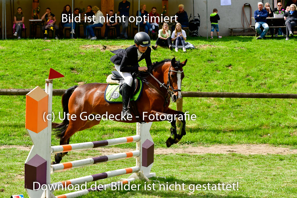 Quali für Goldene Schärpe Ponys in Berge   6+7.5.23 | Felix Triskatis mit Quedence_03 