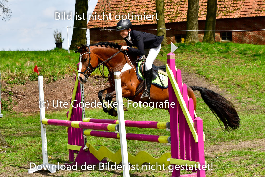 Quali für Goldene Schärpe Ponys in Berge   6+7.5.23 | Felix Triskatis mit Quedence_05 