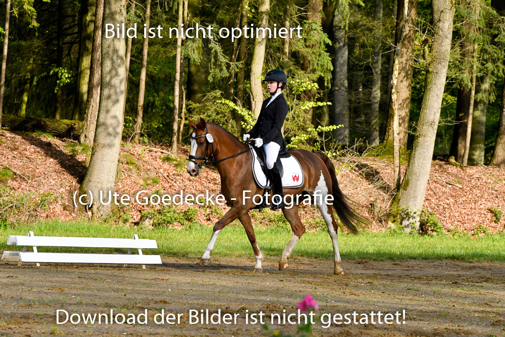 Quali für Goldene Schärpe Ponys in Berge 6+7.5.23 | Finnja Schruttke - Great Stripe_07