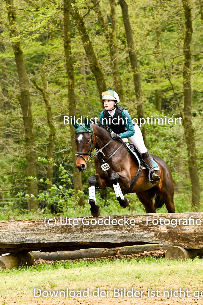 Quali für Goldene Schärpe Ponys in Berge   6+7.5.23 | Jara Fricke mit Scarlett_42 