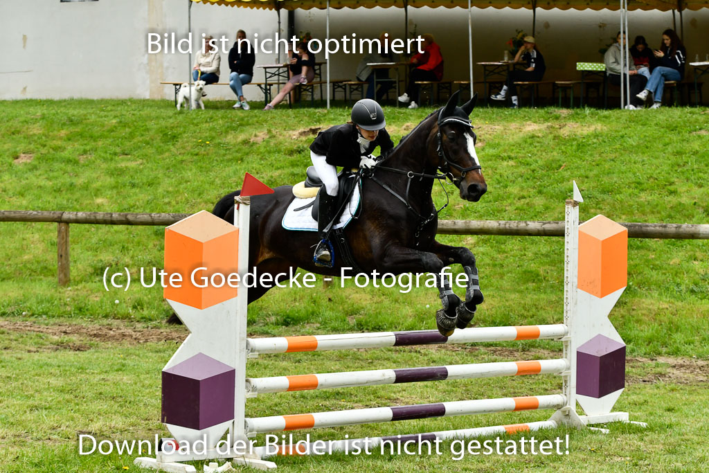 Quali für Goldene Schärpe Ponys in Berge 6+7.5.23 | Jette Kuhlmann - Haley_15