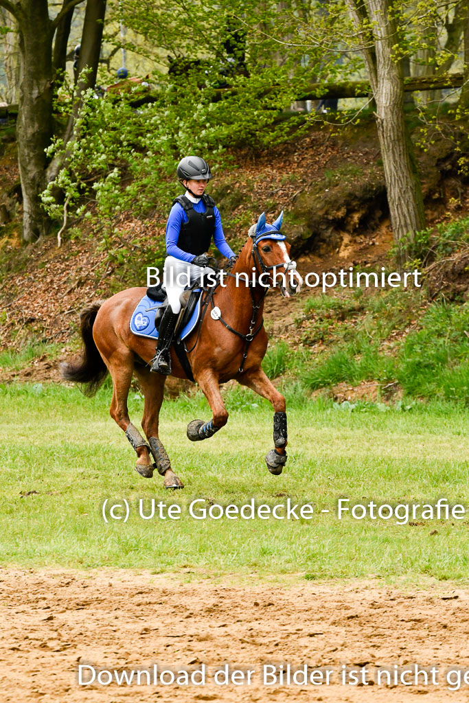 Quali für Goldene Schärpe Ponys in Berge   6+7.5.23 | Lara Kosch - Calimero_31 