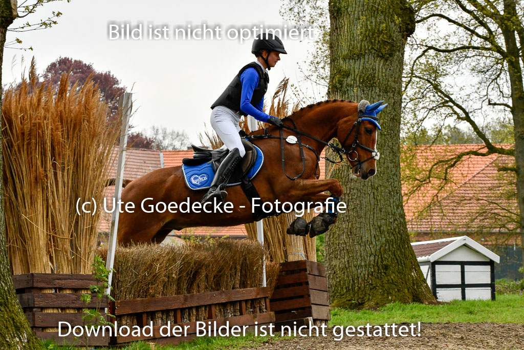 Quali für Goldene Schärpe Ponys in Berge   6+7.5.23 | Lara Kosch - Calimero_42 