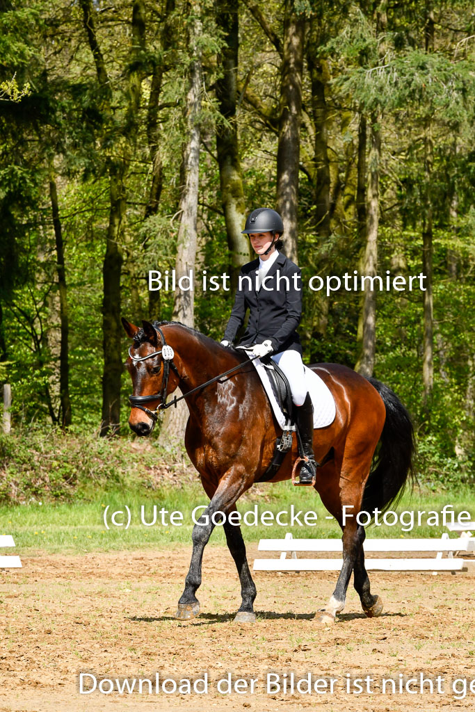 Quali für Goldene Schärpe Ponys in Berge   6+7.5.23 | Lenja Grote Hölmann - Chaccos Cariono_01 