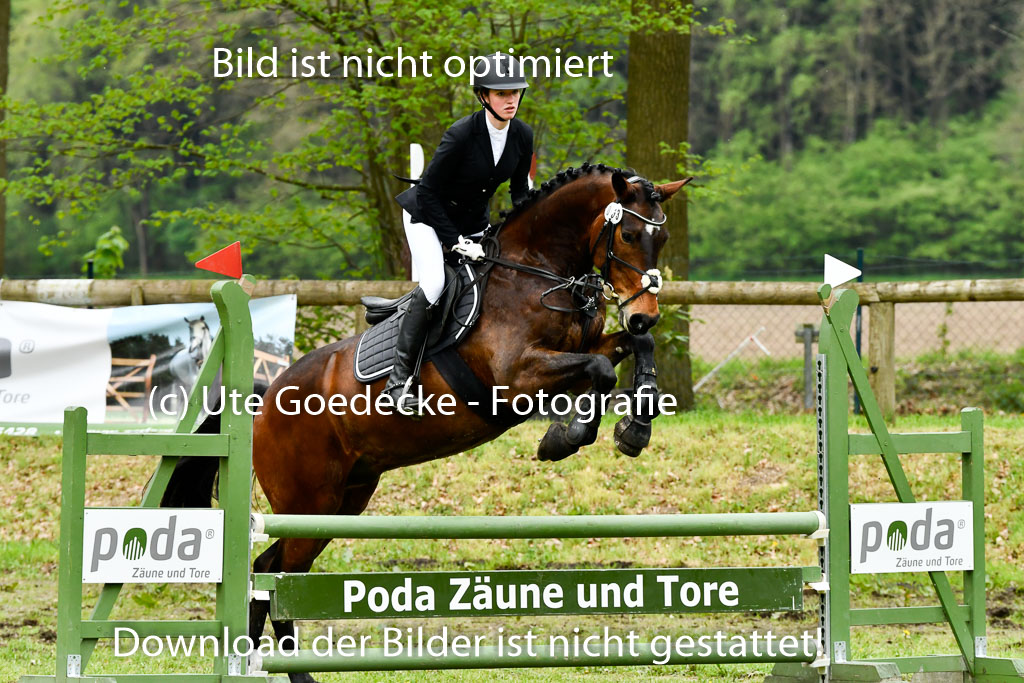 Quali für Goldene Schärpe Ponys in Berge   6+7.5.23 | Lenja Grote Hölmann - Chaccos Cariono_30 