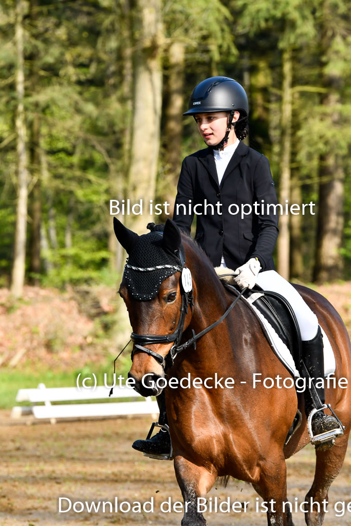 Quali für Goldene Schärpe Ponys in Berge   6+7.5.23 | Lotta Alkabes - Valmiva_05 