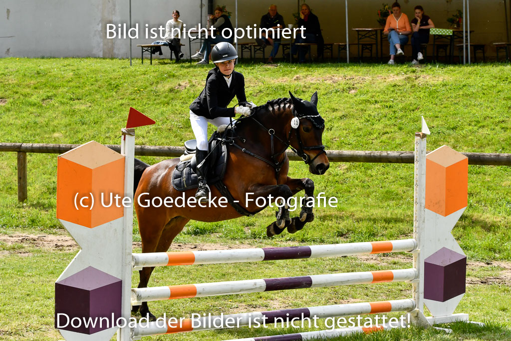 Quali für Goldene Schärpe Ponys in Berge 6+7.5.23 | Lotta Alkabes - Valmiva_25