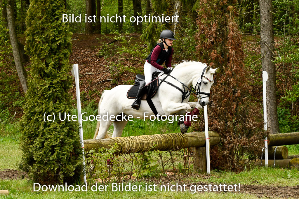 Quali für Goldene Schärpe Ponys in Berge   6+7.5.23 | Louise Hellmers - Cloonaghmore Lad_30 