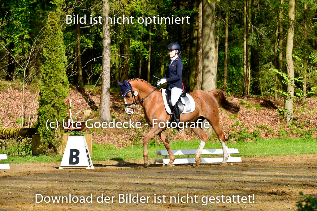 Quali für Goldene Schärpe Ponys in Berge 6+7.5.23 | Madison Joelle Kirstein - Simba_10