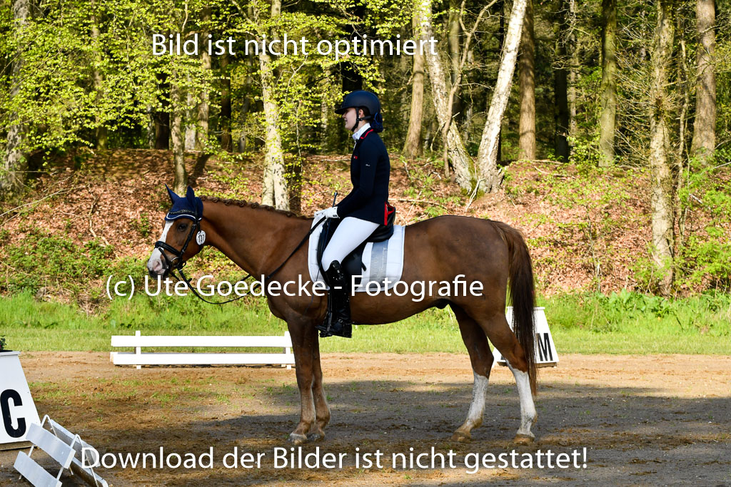 Quali für Goldene Schärpe Ponys in Berge   6+7.5.23 | Madison Joelle Kirstein - Simba_19 