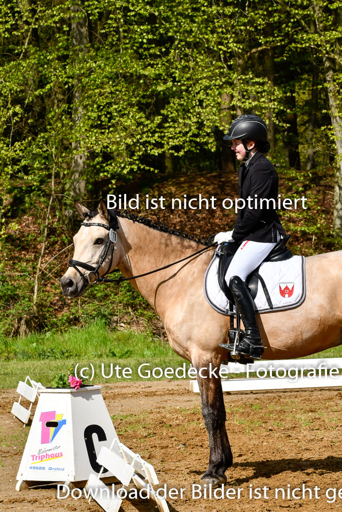 Quali für Goldene Schärpe Ponys in Berge   6+7.5.23 | Malin Brackmann - Gino_16 