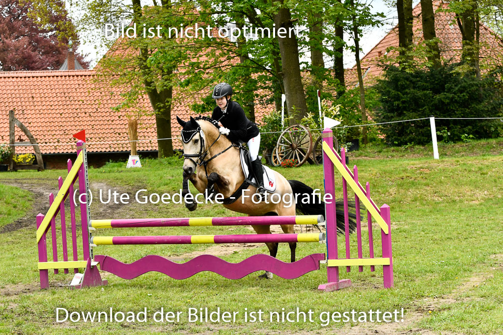 Quali für Goldene Schärpe Ponys in Berge 6+7.5.23 | Malin Brackmann - Gino_23