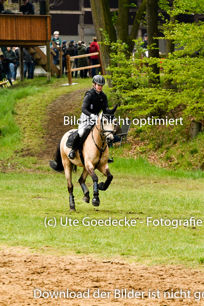 Quali für Goldene Schärpe Ponys in Berge 6+7.5.23 | Malin Brackmann - Gino_31