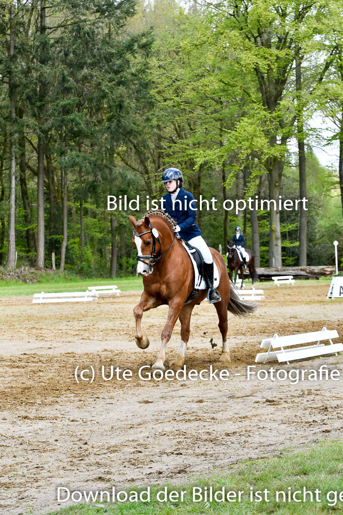 Quali für Goldene Schärpe Ponys in Berge   6+7.5.23 | Mathilda vor dem Brocke - Awakino Golden Glory_18 