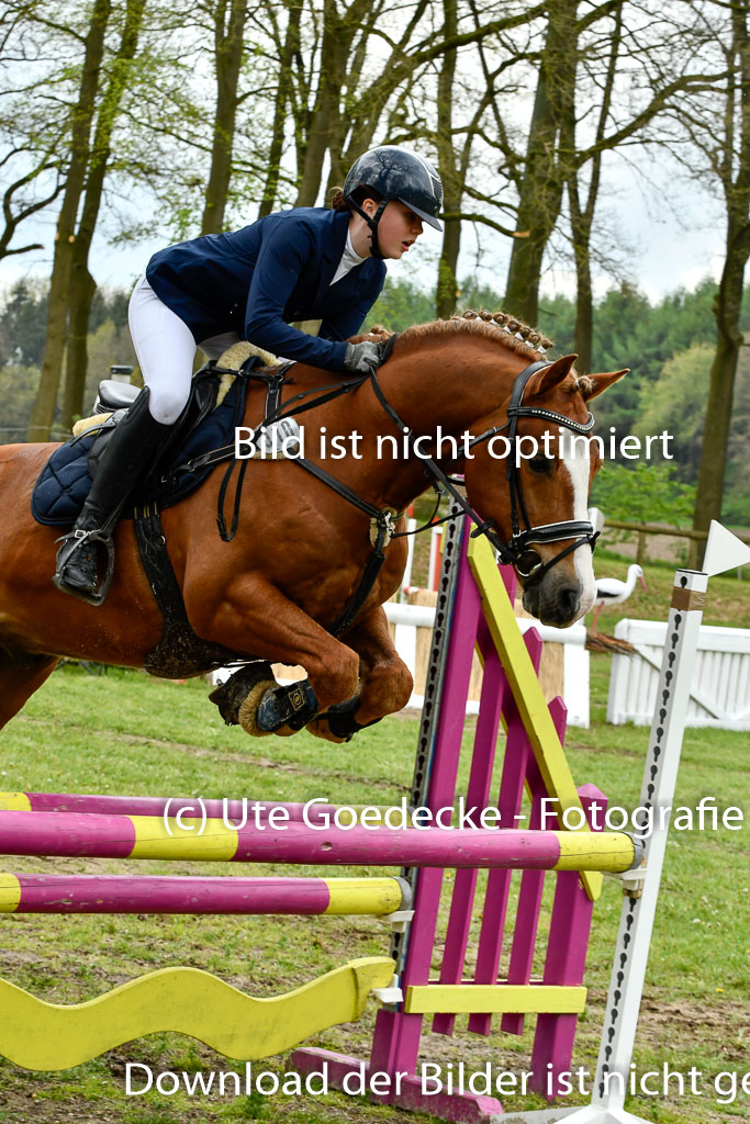 Quali für Goldene Schärpe Ponys in Berge   6+7.5.23 | Mathilda vor dem Brocke - Awakino Golden Glory_35 