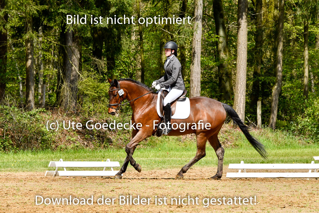 Quali für Goldene Schärpe Ponys in Berge   6+7.5.23 | Mia Hensen - Asam_09 