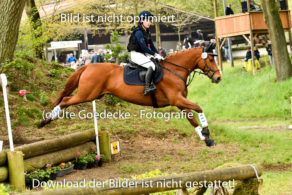 Quali für Goldene Schärpe Ponys in Berge 6+7.5.23 | Mira Groenke - Fidelio_49
