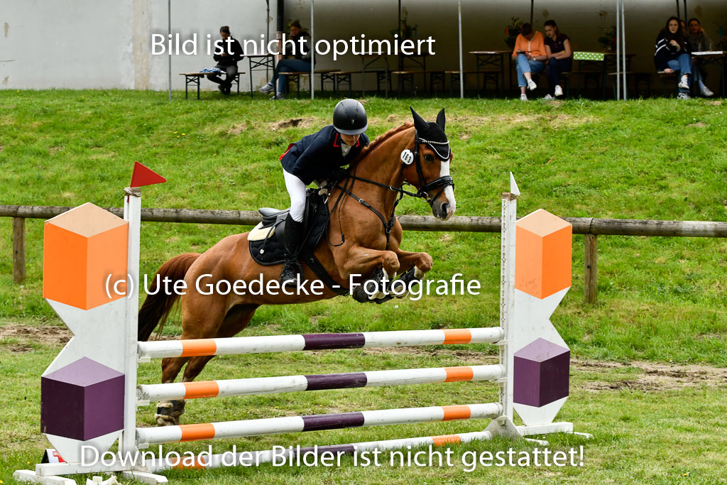 Quali für Goldene Schärpe Ponys in Berge   6+7.5.23 | Selma Krümpelmann - Cynthia _23 