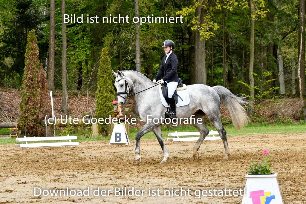 Quali für Goldene Schärpe Ponys in Berge 6+7.5.23 | Stine Genke - Grey_02