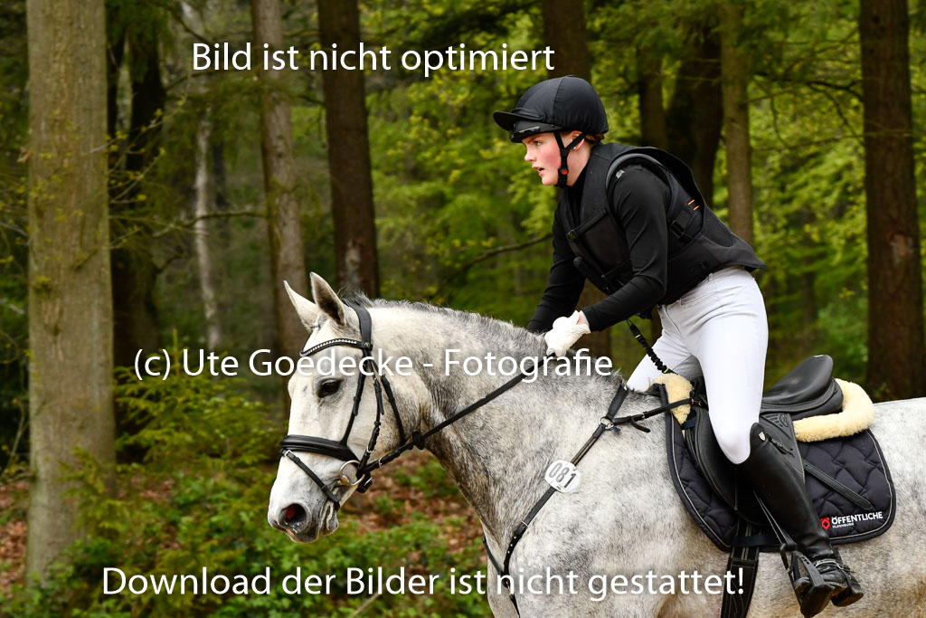 Quali für Goldene Schärpe Ponys in Berge   6+7.5.23 | Stine Genke - Grey_53 