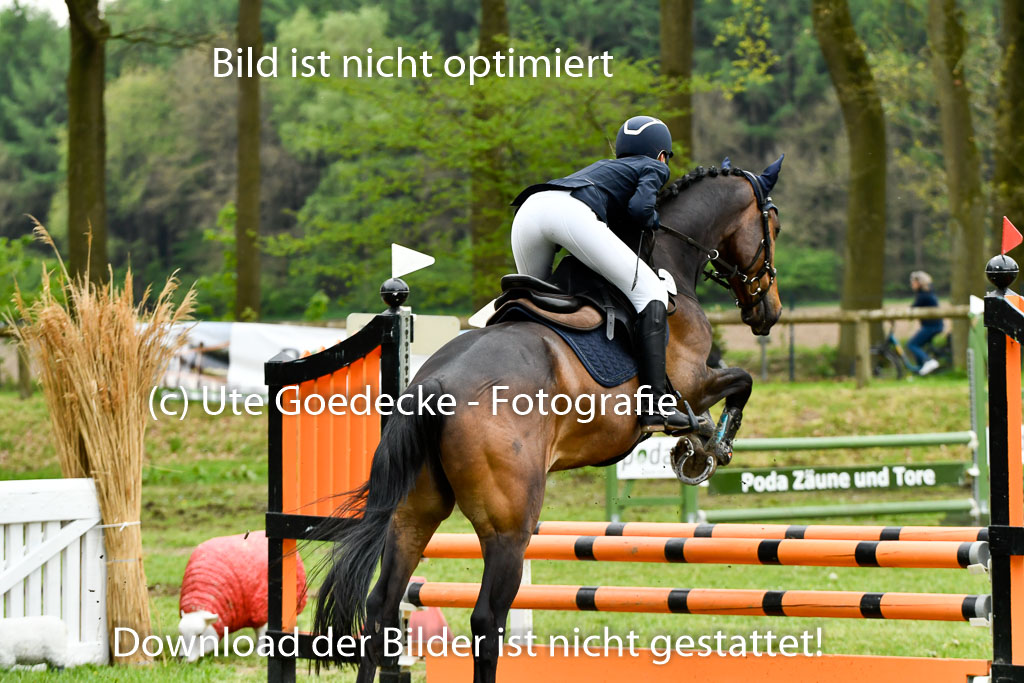 Quali für Goldene Schärpe Ponys in Berge 6+7.5.23 | Stine Sniders - Jeronimo_18