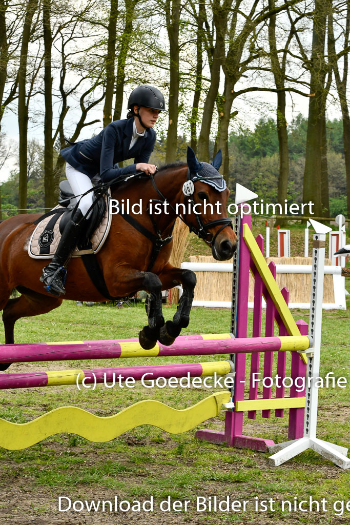 Quali für Goldene Schärpe Ponys in Berge 6+7.5.23 | _UGO5428