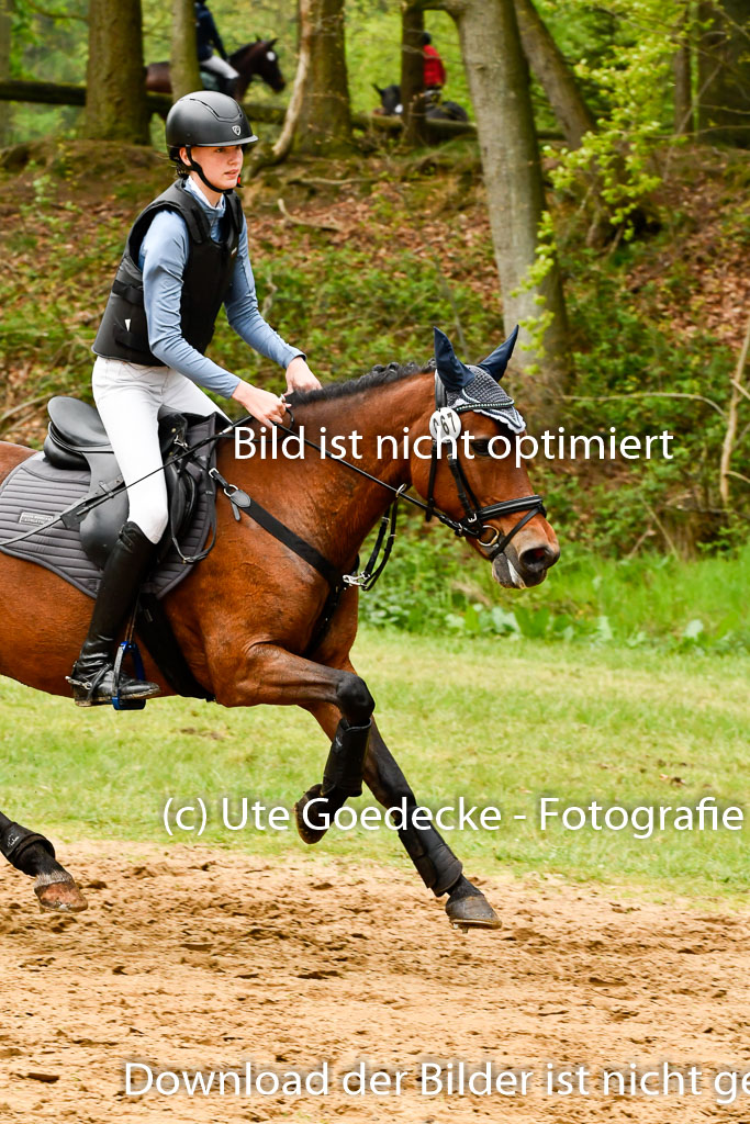 Quali für Goldene Schärpe Ponys in Berge 6+7.5.23 | _UGO7410