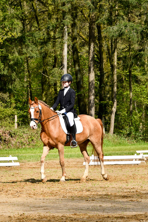 Quali für Goldene Schärpe Ponys in Berge   6+7.5.23 | Amelie Brockhaus - Giovanni_01 