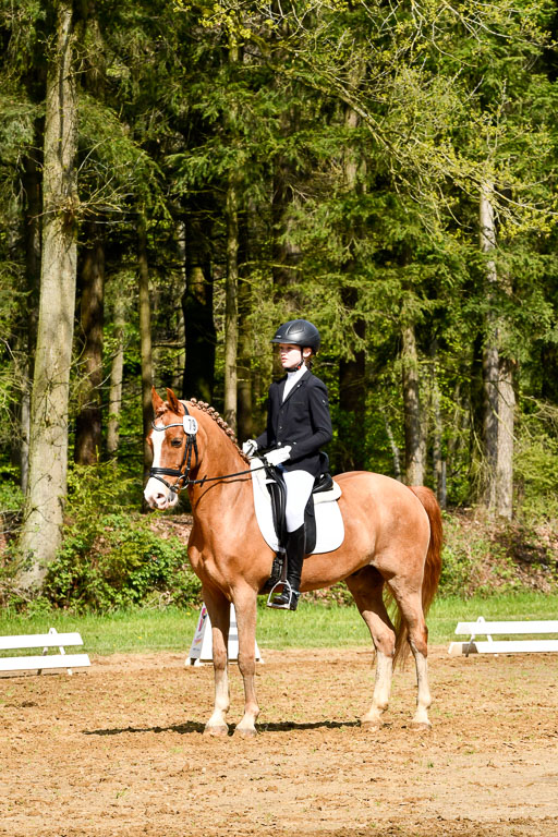 Quali für Goldene Schärpe Ponys in Berge   6+7.5.23 | Amelie Brockhaus - Giovanni_02 