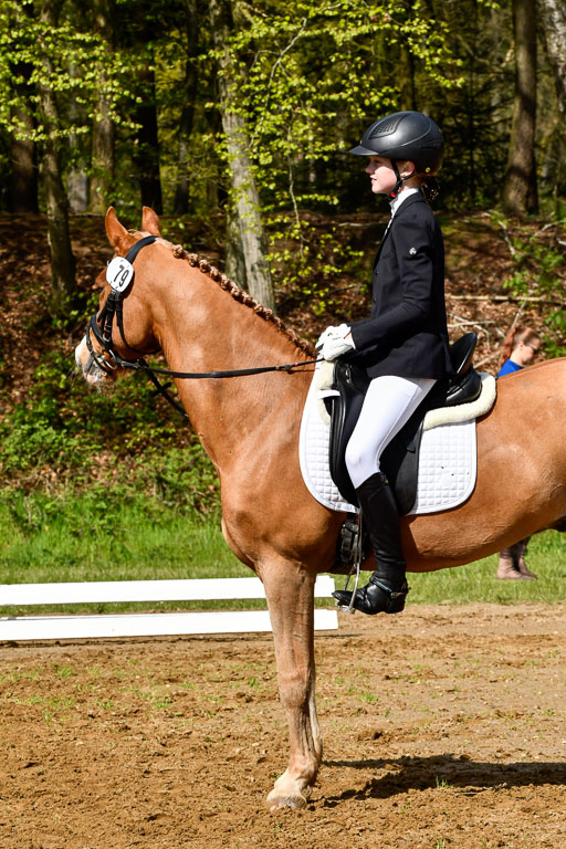 Quali für Goldene Schärpe Ponys in Berge   6+7.5.23 | Amelie Brockhaus - Giovanni_18 