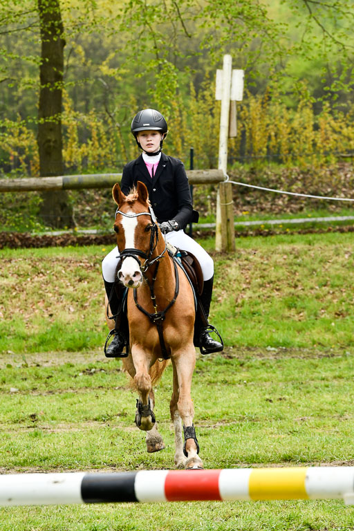Quali für Goldene Schärpe Ponys in Berge   6+7.5.23 | Amelie Brockhaus - Giovanni_19 