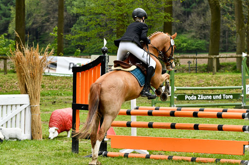Quali für Goldene Schärpe Ponys in Berge   6+7.5.23 | Amelie Brockhaus - Giovanni_24 