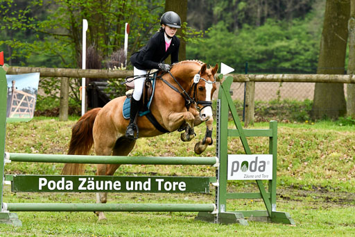 Quali für Goldene Schärpe Ponys in Berge   6+7.5.23 | Amelie Brockhaus - Giovanni_28 