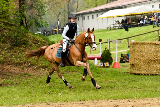 Quali für Goldene Schärpe Ponys in Berge   6+7.5.23 | Amelie Brockhaus - Giovanni_42 
