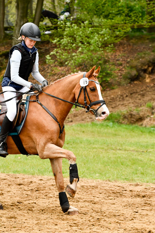 Quali für Goldene Schärpe Ponys in Berge   6+7.5.23 | Amelie Brockhaus - Giovanni_44 