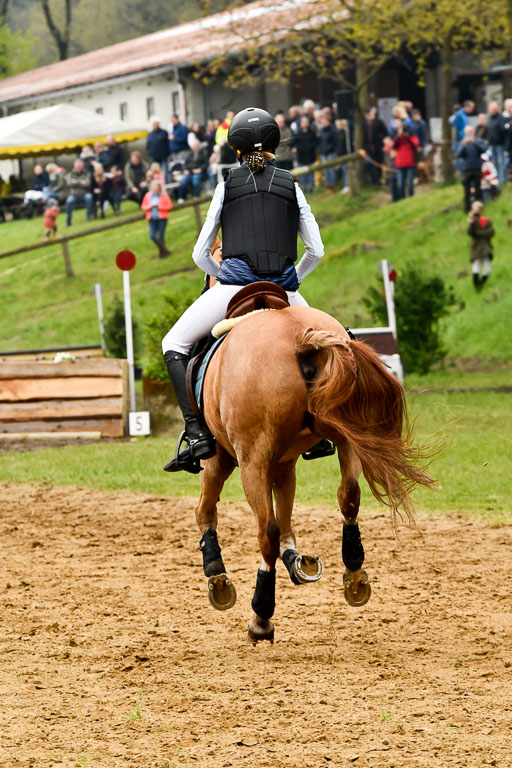 Quali für Goldene Schärpe Ponys in Berge   6+7.5.23 | Amelie Brockhaus - Giovanni_50 