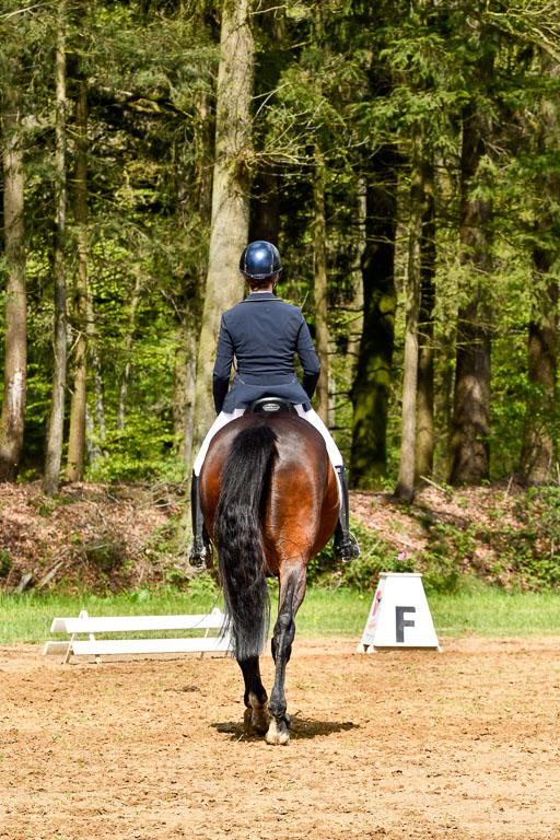 Quali für Goldene Schärpe Ponys in Berge   6+7.5.23 | Amelie Emma Pudednz - Bordeau_09 
